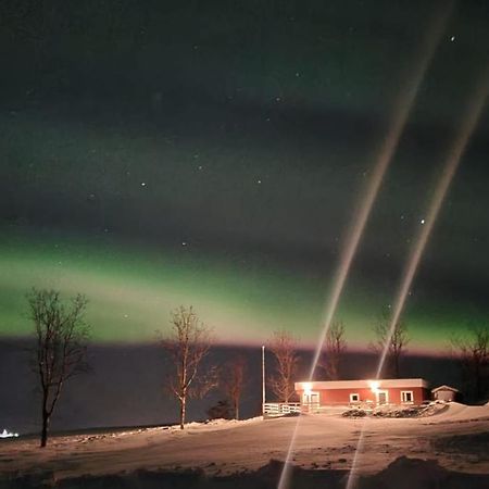 Hofthi Cottages Dalvík Eksteriør billede