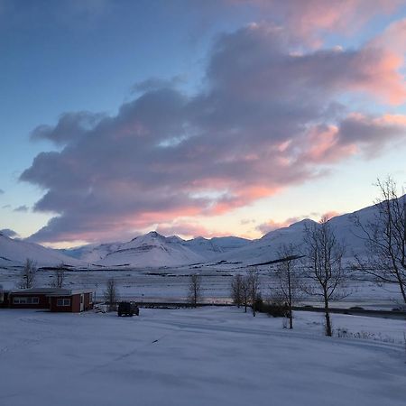 Hofthi Cottages Dalvík Eksteriør billede