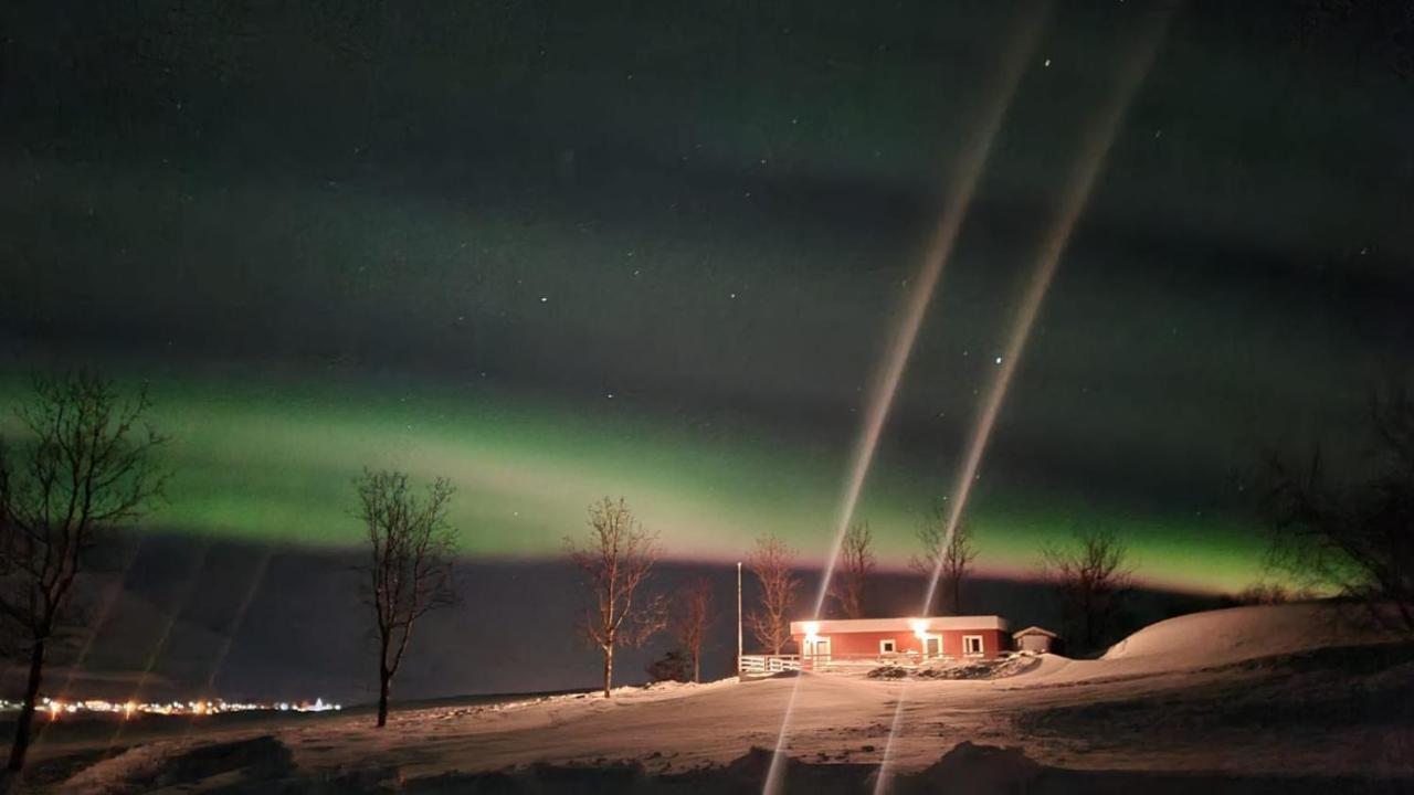 Hofthi Cottages Dalvík Eksteriør billede