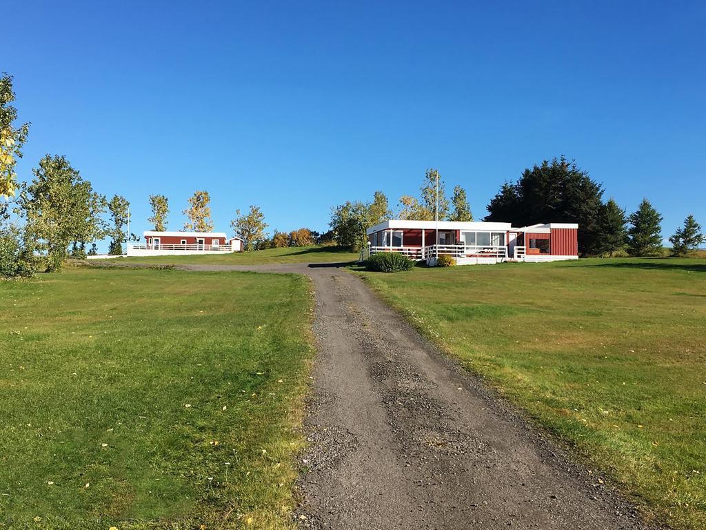 Hofthi Cottages Dalvík Eksteriør billede